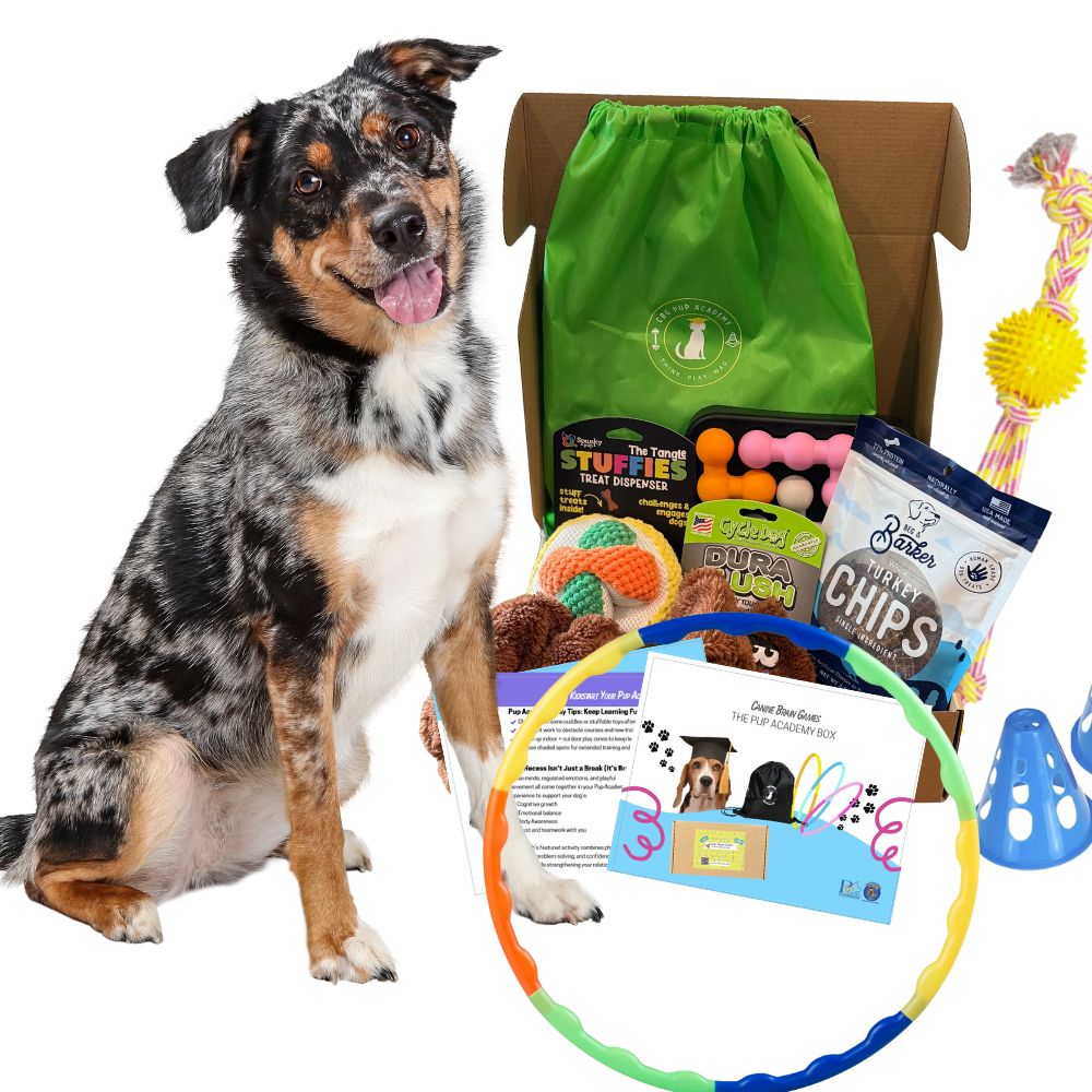 Happy dog with subscription box of toys