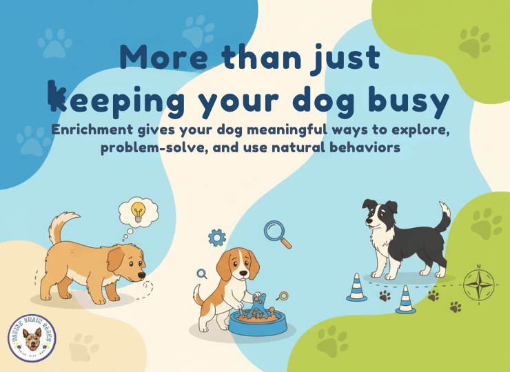 more than keeping your dog busy