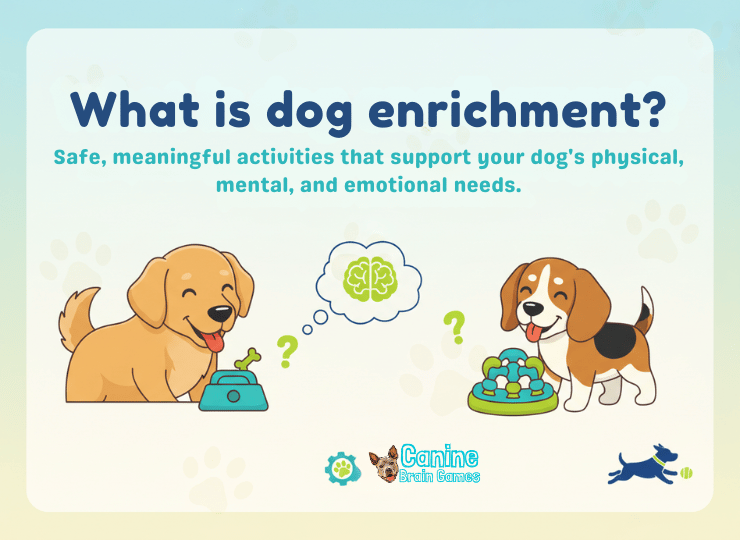 what dog enrichment means